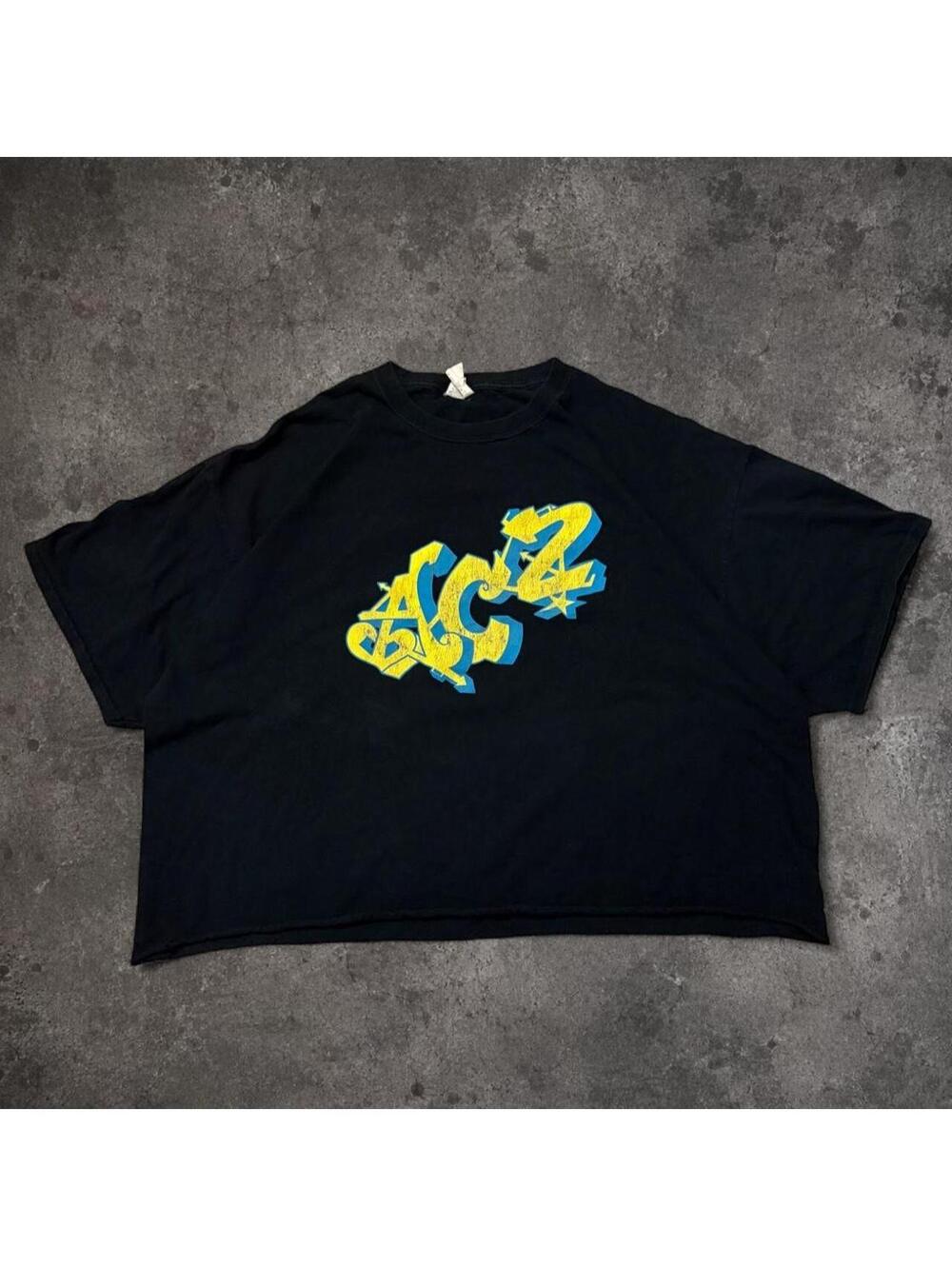 Fruit of the Loom Men's Black and Multi Tshirt